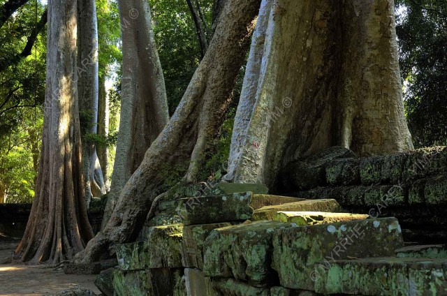 taprohm-galerie-1