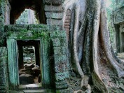 Ta Prohm