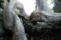 taprohm-galerie-4